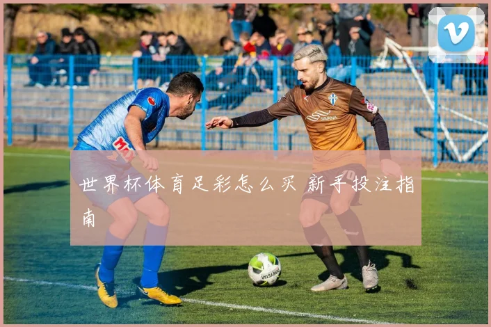 世界杯体育足彩怎么买 新手投注指南