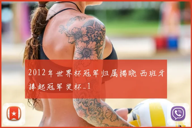2012年世界杯冠军归属揭晓 西班牙捧起冠军奖杯_1